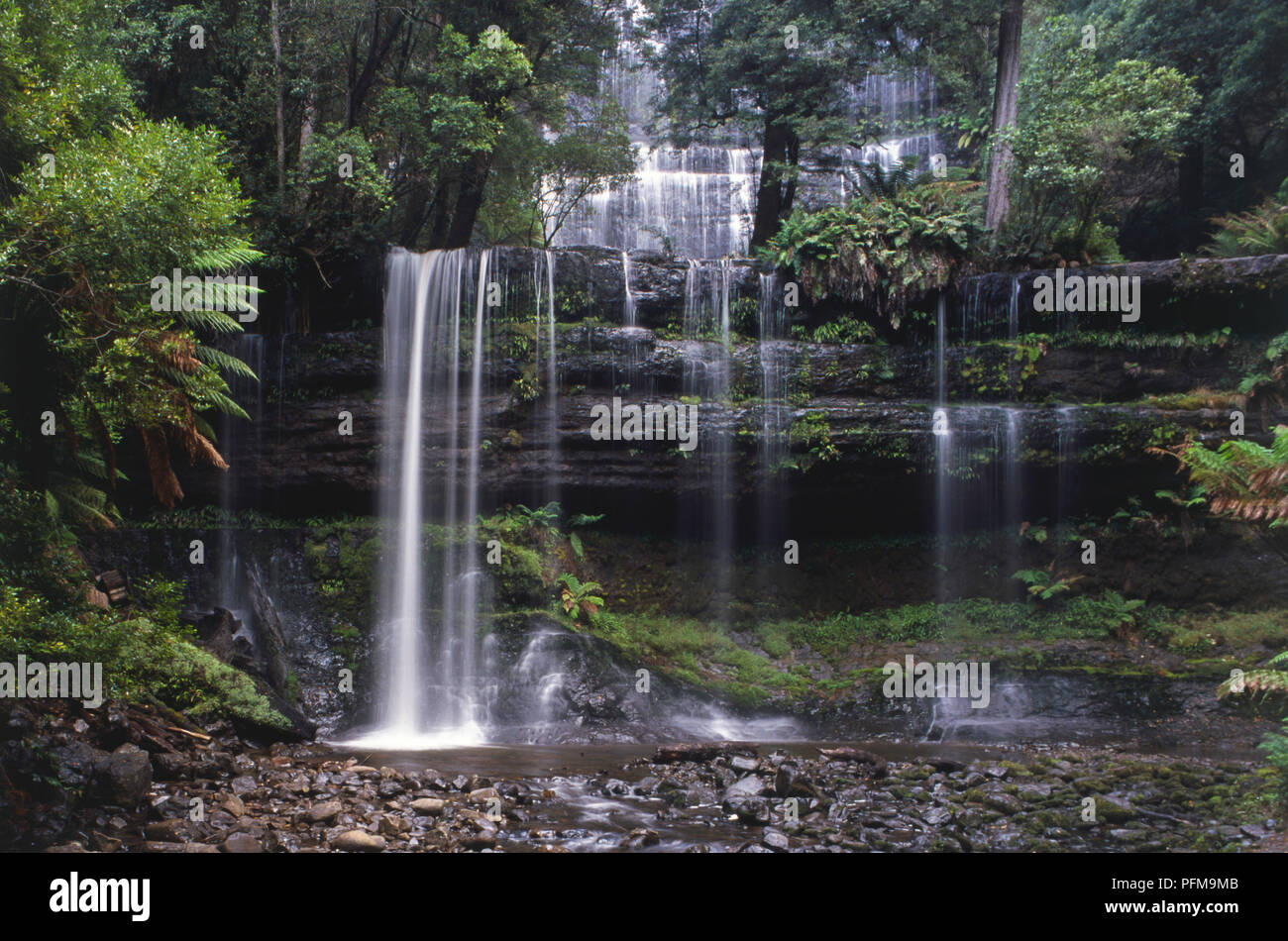 Russell Falls im Mount Field National Park, ein wenig mehr als 70 km von Hobart, Tasmanien. Stockfoto