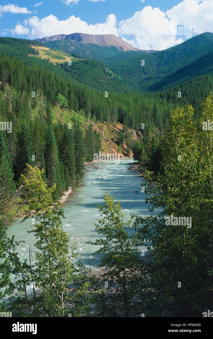 Kanada, Alberta, Purcell Mountains, Bach, umgeben von Bäumen gesäumten Berge Stockfoto