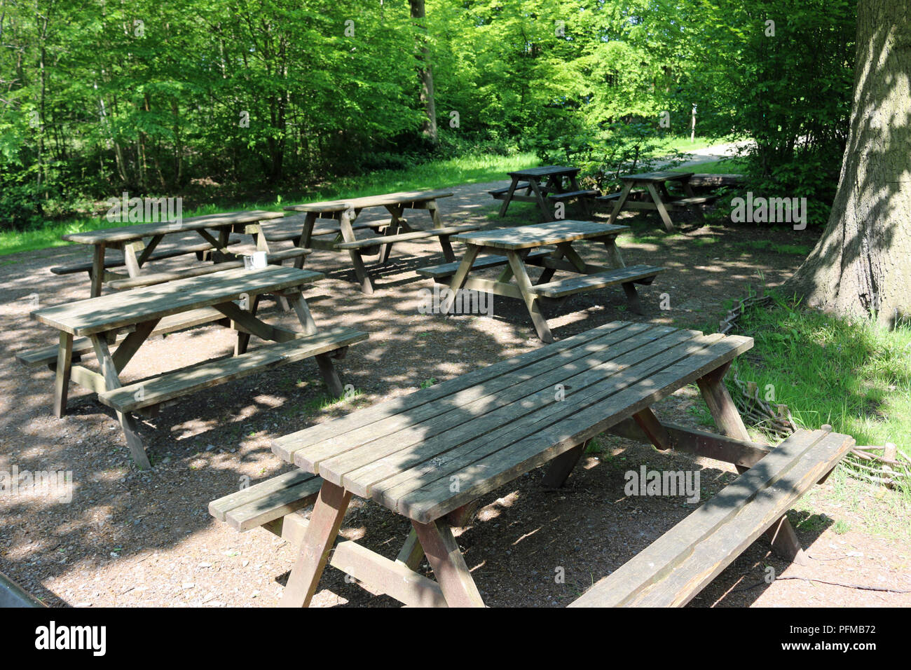 Holz- Picknick Tische in Wäldern mit dappled Schatten von Bäumen mit dem Fokus auf dem Tisch im Vordergrund umgeben. Stockfoto