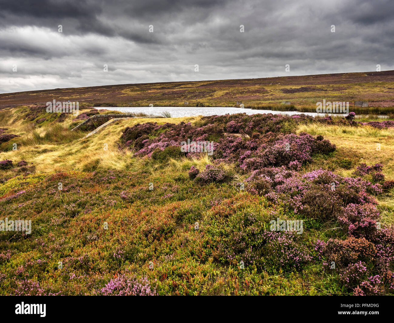 Untere Lanshaw Damm auf Burley Moor West Yorkshire England Stockfoto