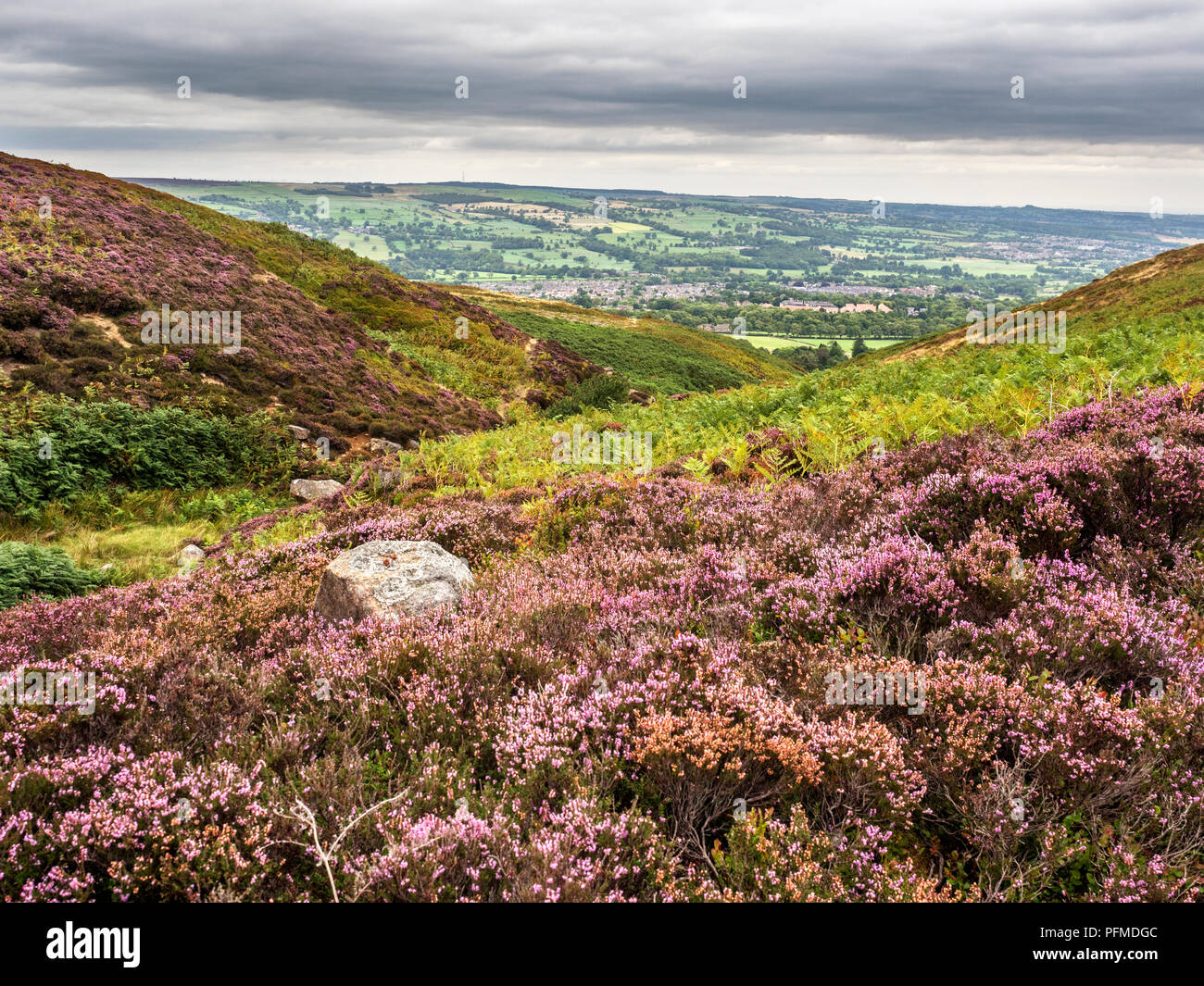 Blick über Wharfedale in der Nähe ward Crag auf Burley Moor West Yorkshire England Stockfoto
