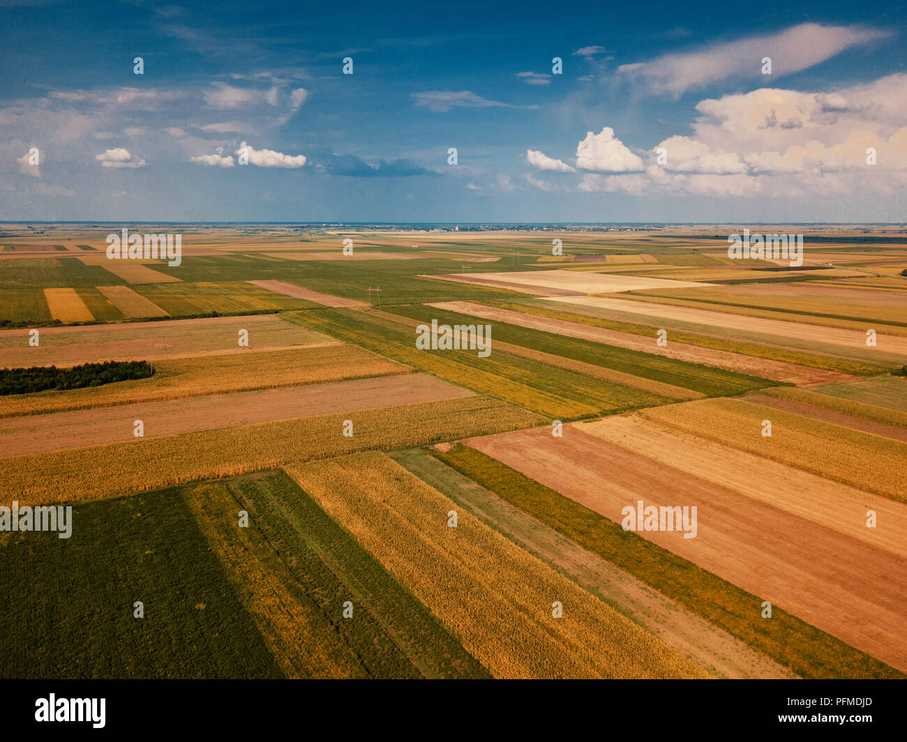 Drone Fotografie von Feldern in Sommer, ebene Landschaft Landschaft aus hohen Winkel anzeigen Stockfoto