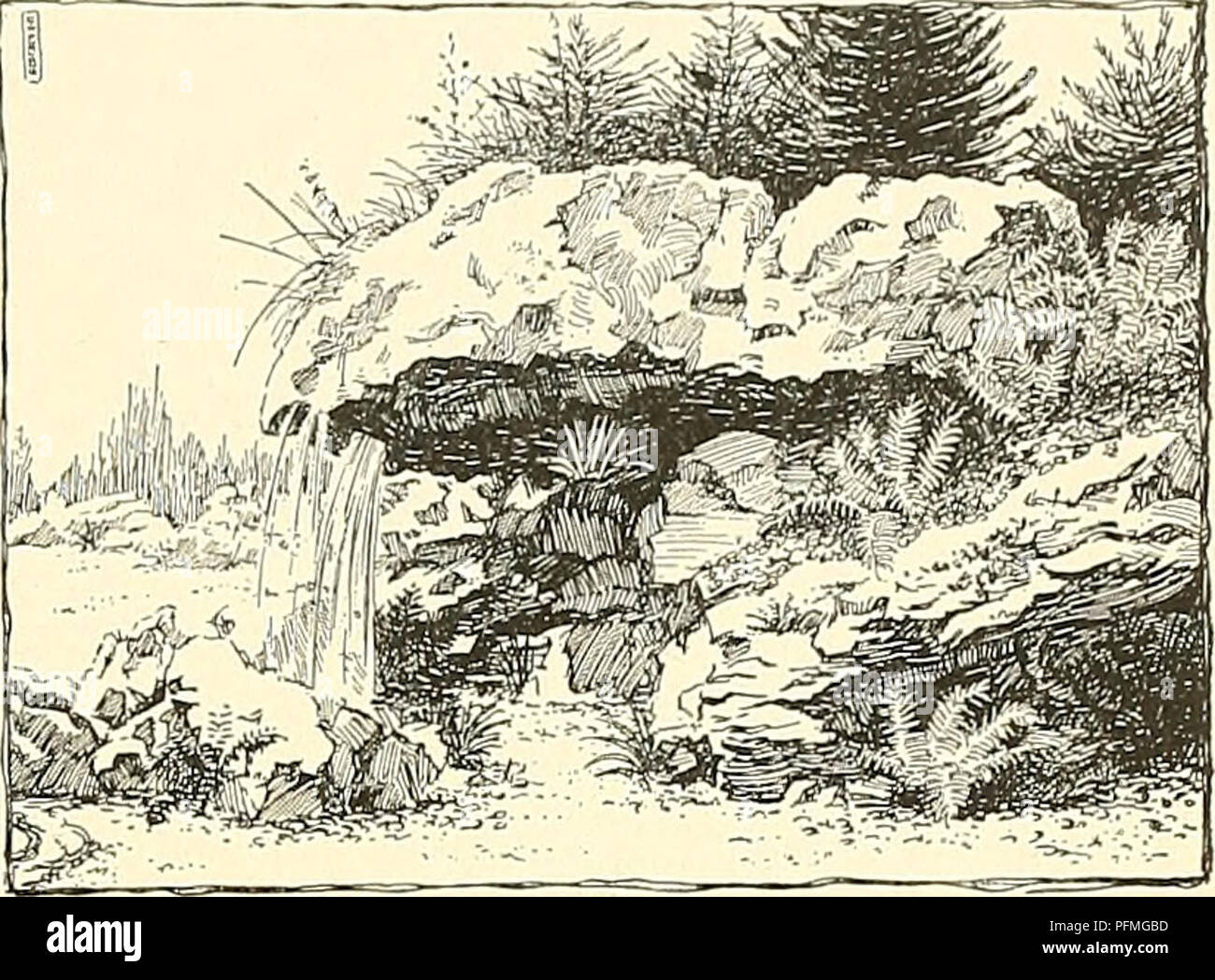 . Cyclopedia der amerikanischen Gartenbau, bestehend aus Anregungen für den Anbau von Gartenpflanzen, Beschreibungen der Arten von Obst, Gemüse, Blumen und Zierpflanzen in den Vereinigten Staaten und in Kanada verkauft, zusammen mit geographischen und Biographische Skizzen. Im Garten arbeiten. &Gt; hL&gt; ^-^" "i-iV-&lt; .1 2139. Eine isolierte Steingarten unter einem Baum, im südlichen Kalifornien. Zug durch die Bepflanzung mit einer Vielzahl von alpinen und anderen Pflanzen. Das bedeutungslose Dämme der Steine zu oft in Gärten gesehen, bepflanzt mit siimmer-Bett-ding Pflanzen oder Reben, die wahre Konz nicht dar Stockfoto