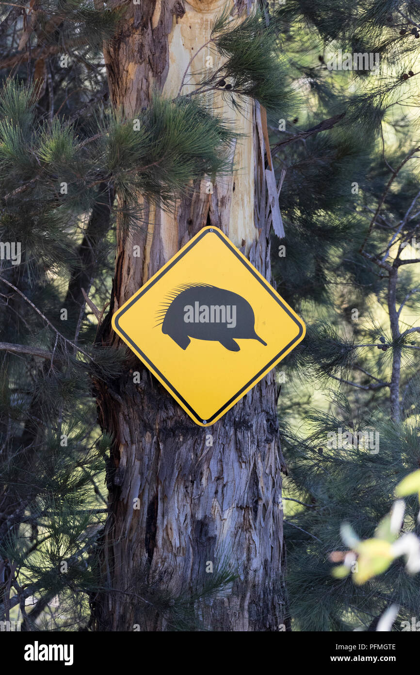 Echidna Warnung Schild Stockfoto