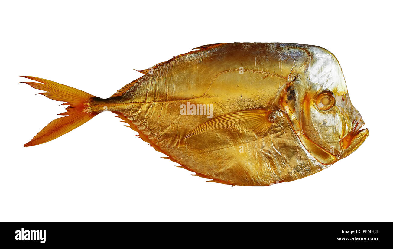 Kalt geräuchert goldenen Haut mond Fisch auf weißem Hintergrund, Ansicht von oben, close-up Stockfoto