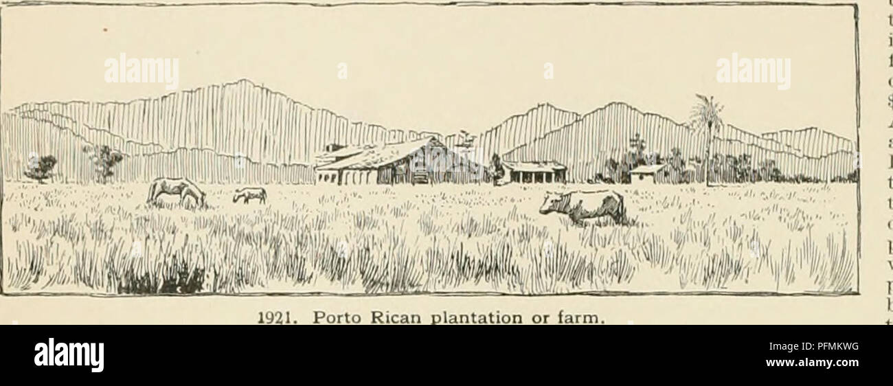 . Cyclopedia der amerikanischen Gartenbau, bestehend aus Anregungen für den Anbau von Gartenpflanzen, Beschreibungen der Arten von Obst, Gemüse, Blumen und Zierpflanzen in den Vereinigten Staaten und in Kanada verkauft, zusammen mit geographischen und Biographische Skizzen. Im Garten arbeiten. 1114 I' OKTO KICO kleiner, ist der "nispero" oder sapotpflaumen, der mit seinen braunen Haut, gleicht einer Rostroten Birne. Die "lechoEa", oder tropischen Papaya, eine wertvolle Frucht. Der Baum hat einen geraden Stamm, durch eine Krone der enormen Verbreitung Blätter, unter denen das Gute - überwunden sortierte Frucht ist b Stockfoto . Cyclopedia der amerikanischen Gartenbau, bestehend aus Anregungen für den Anbau von Gartenpflanzen, Beschreibungen der Arten von Obst, Gemüse, Blumen und Zierpflanzen in den Vereinigten Staaten und in Kanada verkauft, zusammen mit geographischen und Biographische Skizzen. Im Garten arbeiten. 1114 I' OKTO KICO kleiner, ist der "nispero" oder sapotpflaumen, der mit seinen braunen Haut, gleicht einer Rostroten Birne. Die "lechoEa", oder tropischen Papaya, eine wertvolle Frucht. Der Baum hat einen geraden Stamm, durch eine Krone der enormen Verbreitung Blätter, unter denen das Gute - überwunden sortierte Frucht ist b Stockfoto
