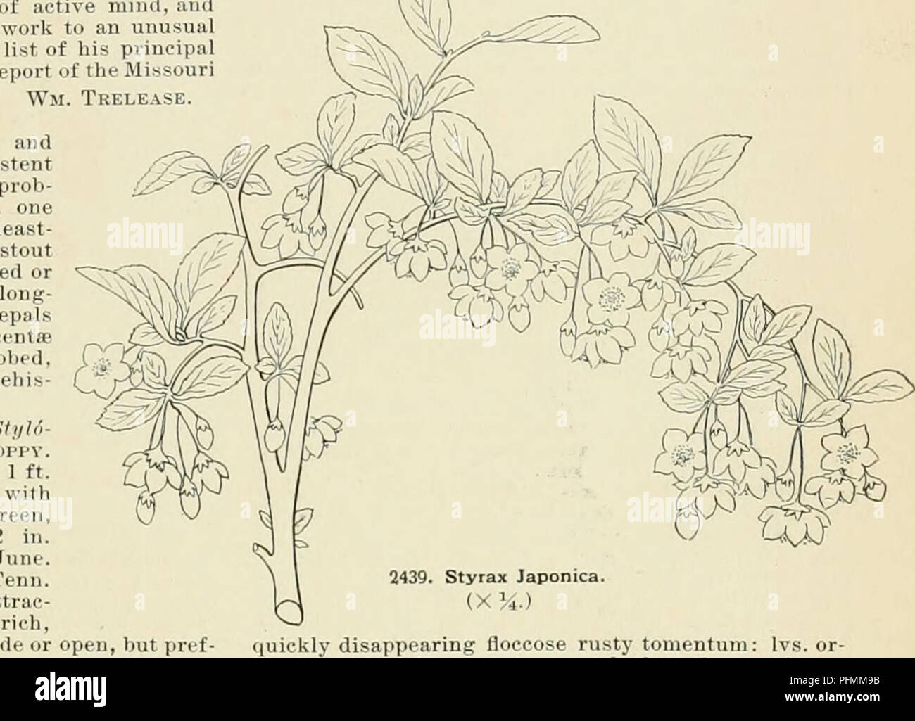. Cyclopedia der amerikanischen Gartenbau, bestehend aus Anregungen für den Anbau von Gartenpflanzen, Beschreibungen der Arten von Obst, Gemüse, Blumen und Zierpflanzen in den Vereinigten Staaten und in Kanada verkauft, zusammen mit geographischen und Biographische Skizzen. Im Garten arbeiten. STURTEVANT 30 1898 Obwohl der Grad der M D her^ Tl. "Anj tacenei anbringen, I6 Z 10 iH.. theHarvarl Mel 1s 1ool D St rt an e er i ra B im jb> chlet 1 t> ich ic1 ijraijish ticelthei f t 1 1 1 t 1 1 1 t zu Agricult 1 1 ,1 1 IP-grandifdha Bei M T 1 1 1 Ivs. oval bis dann 0 1 1 1 1 11 ol Eizellen Stockfoto
