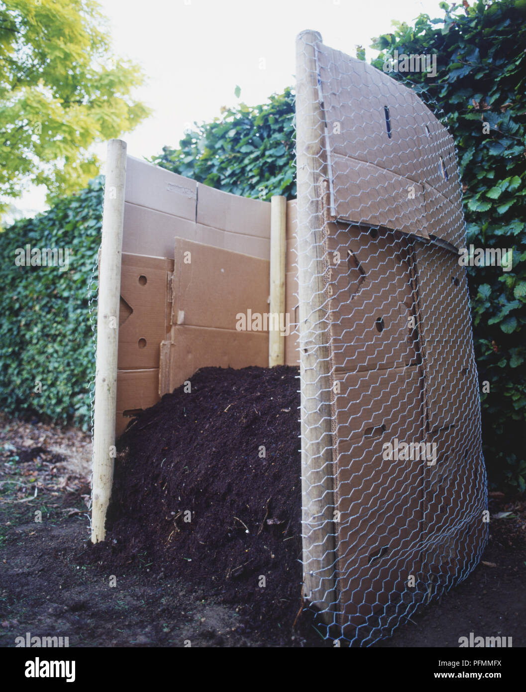 Ein Komposthaufen, gesäumt mit Stücke Pappe Stockfoto