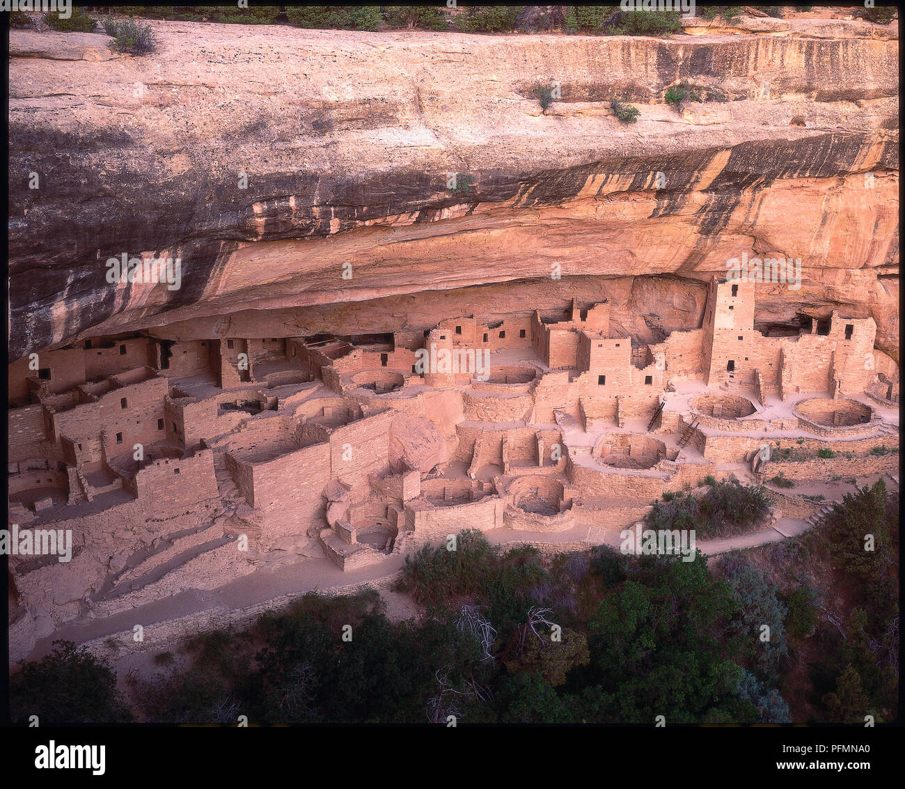 Mit 150 Zimmern, das Cliff Palace ist der größte Ancestral Pueblon Cliff dwelling überall gefunden, zeigt einige der 23 Kivas oder religiöse Räume und Türme wahrscheinlich als Nahrung Lagerbereiche oder aussichtspunkte verwendet. Stockfoto