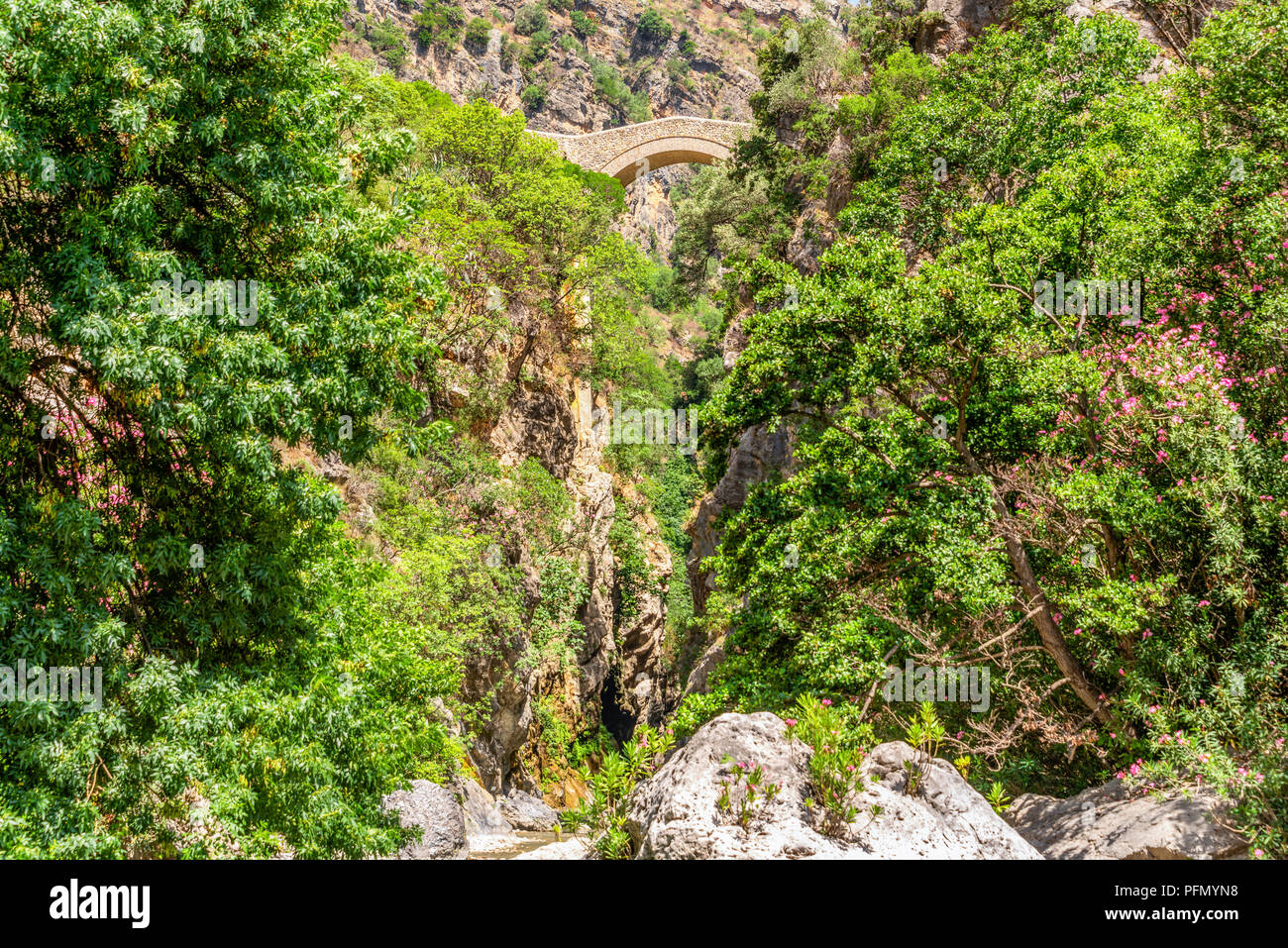 Blick auf Il Ponte del Diavolo und die raganello Fluss in Civita im Nationalpark Pollino Stockfoto