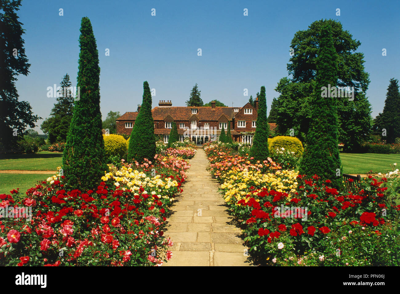 Grossbritannien, England, Hertfordshire, chiswell, der Glanz der Garten der Rose im Sommer. Stockfoto