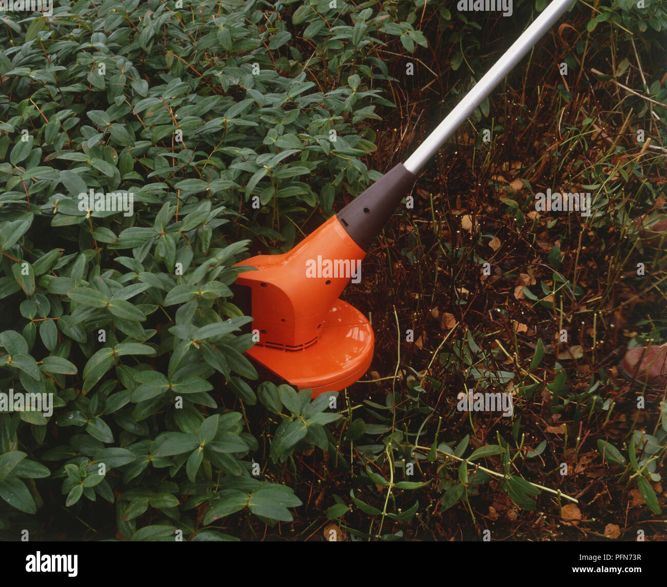 Mit dem Rotary Linie Trimmer durch grüne Pflanzen zu schneiden, Nahaufnahme, hohe Blickwinkel betrachten. Stockfoto