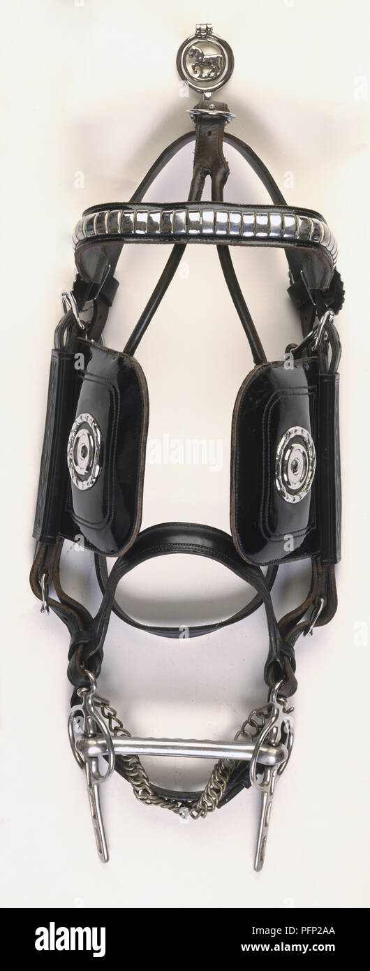 Geschlossener Zügel wie auf's Pferd Kopf getragen ist, schwarzes Leder und Metall, kunstvoll verzierten Fly-Kopf terret, Kopfband, Blinker, Nasenriemen, Backe - Stück, gerade Stange und Bit, oben betrachten. Stockfoto