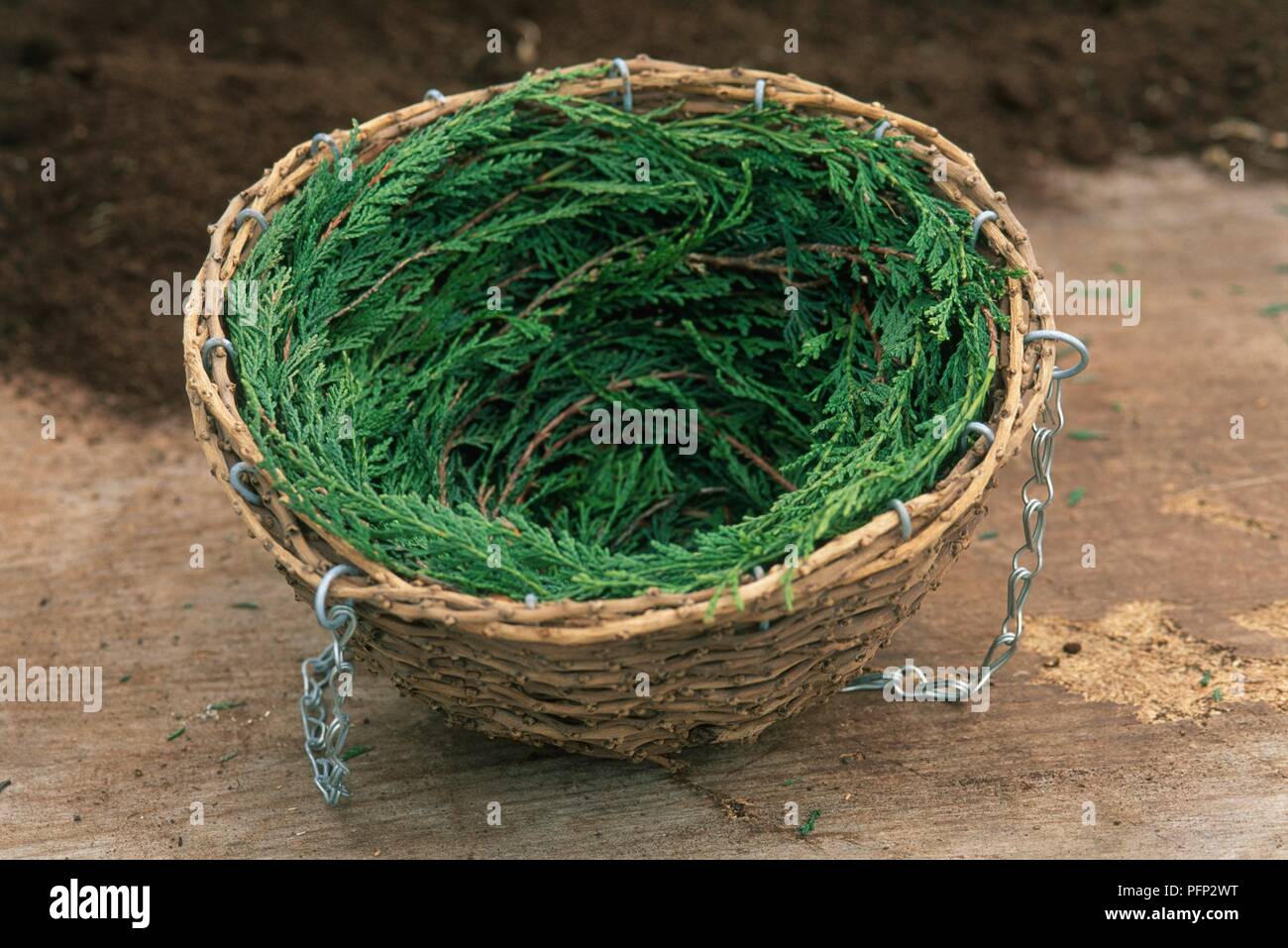 Wicker hängenden Korb mit nadelbaum Ausschnitte auf hölzernen Tisch gefüttert Stockfoto