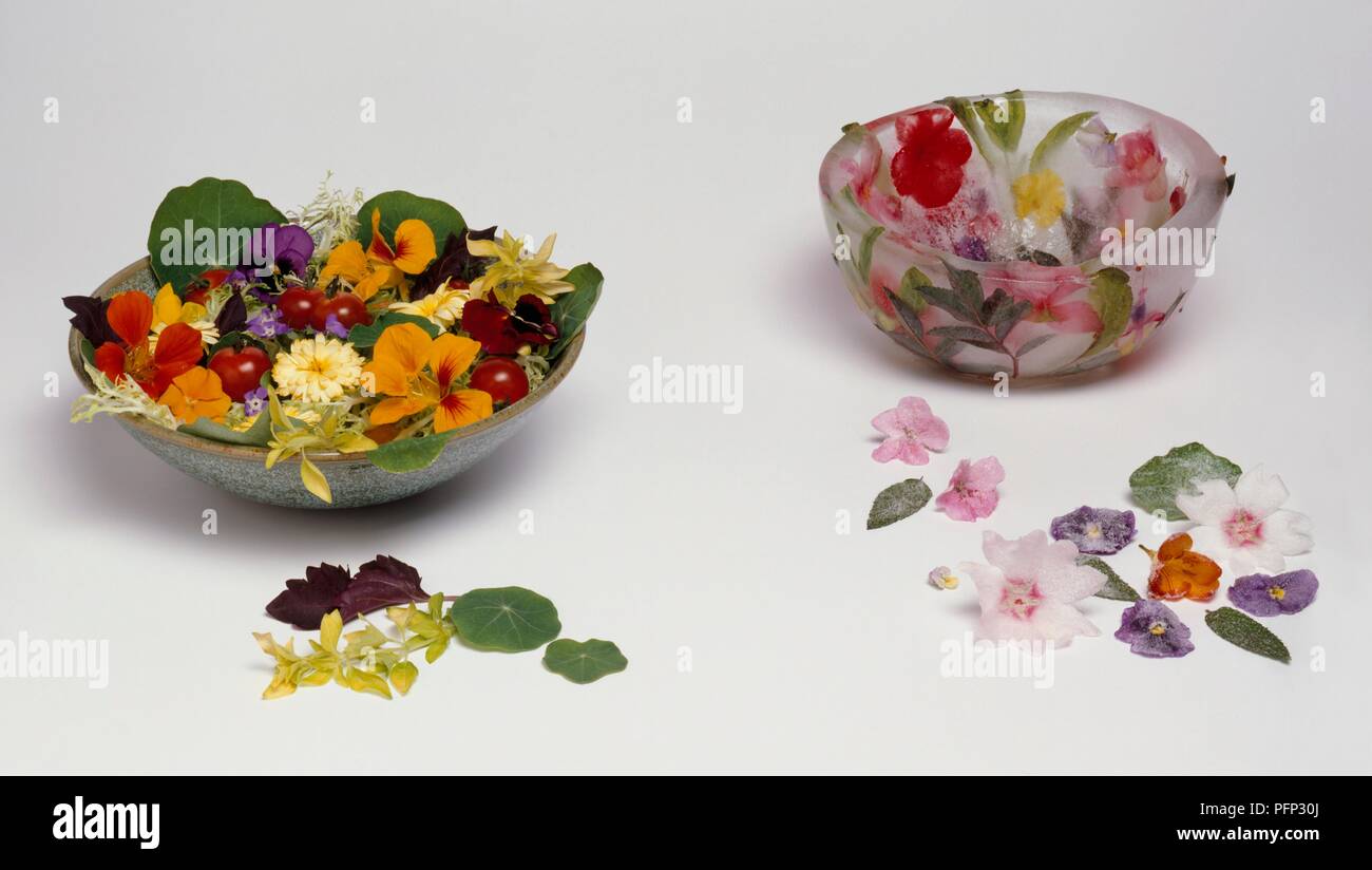 Schüssel gefüllt mit Blumen und Blätter und eine Schüssel mit Blüten und Blättern ausgekleidet Stockfoto