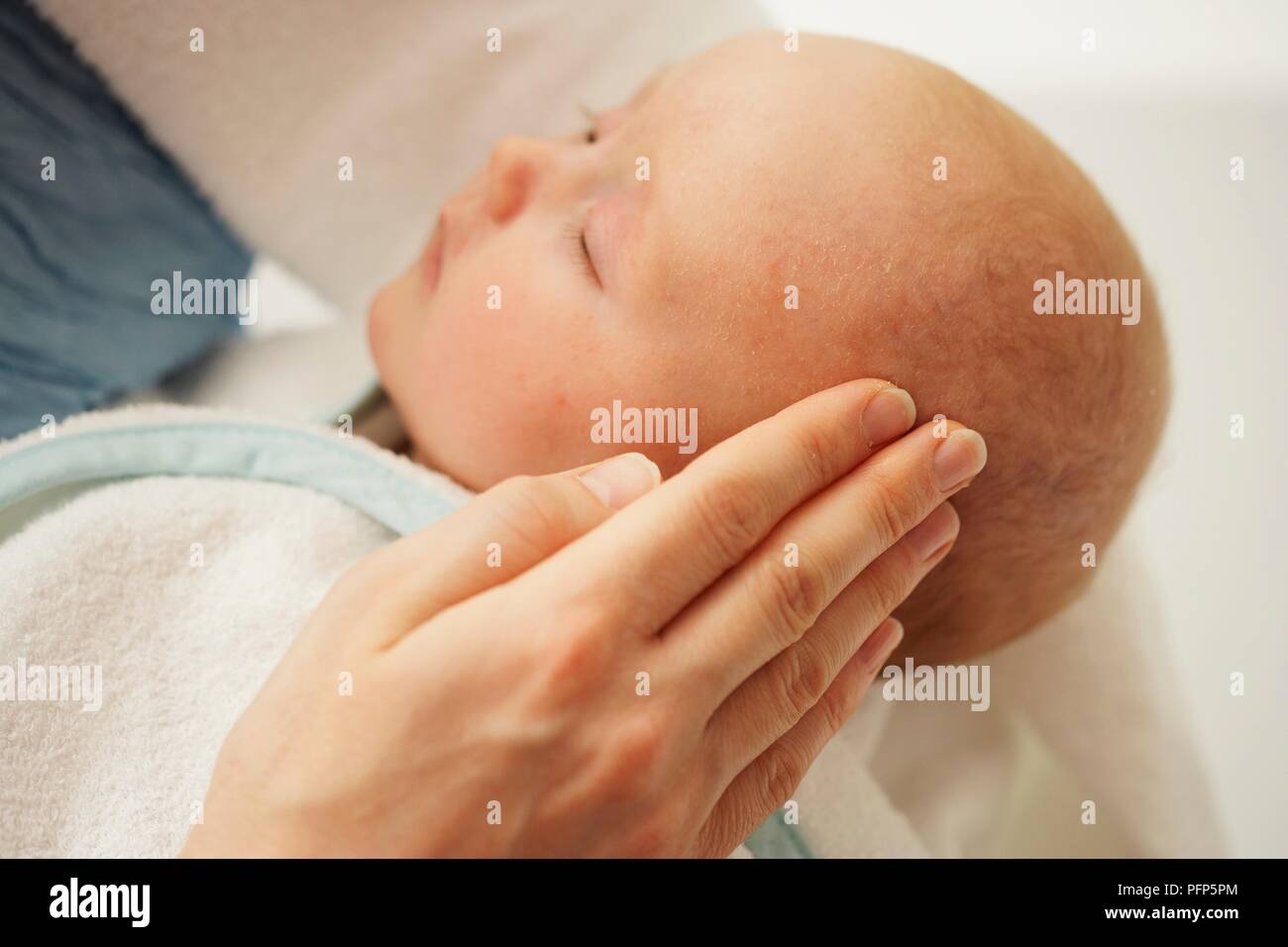 Woman's Hand reiben Baby Öl in die Kopfhaut, close-up Stockfoto