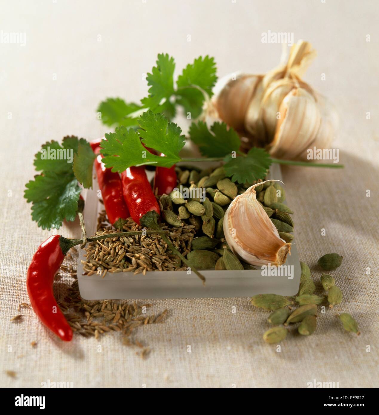 Zutat Jemenitischen zhug einfügen, Korianderblätter, Knoblauchzehen, rote Chilis, Kreuzkümmel, Kardamom Samen Stockfoto