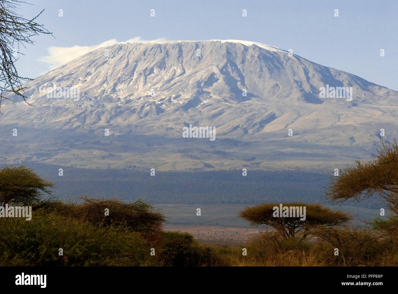 Kenia, Kilimanjaro Stockfoto