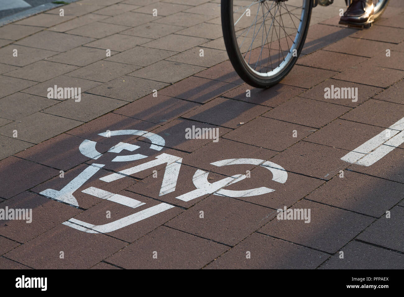 Piktogramm auf Radweg Stockfoto