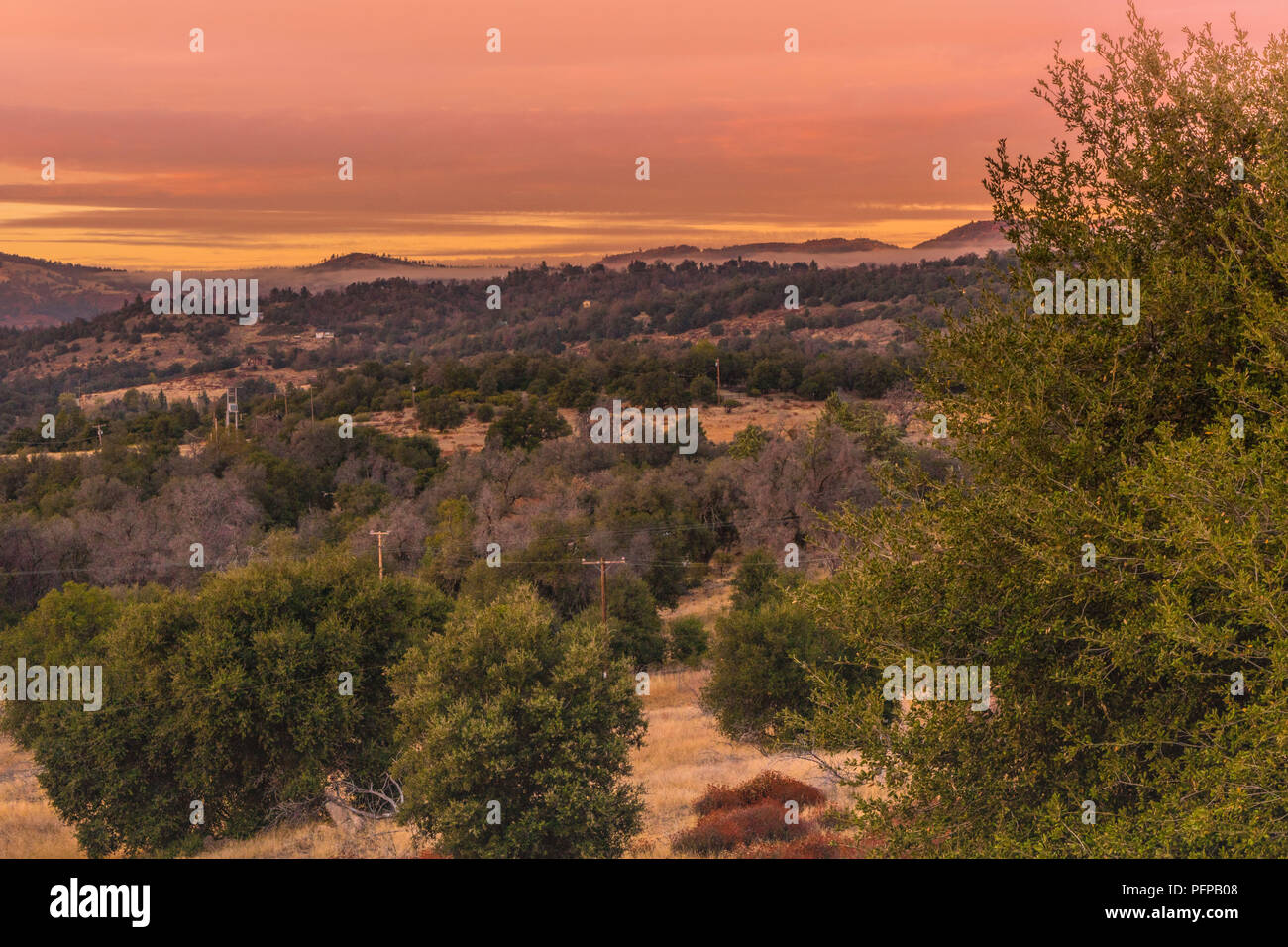 Warme Farbe schönen Sonnenuntergang Himmel, orange, rot, lila Tönen, in Südkalifornien Hügel im Herbst, Grove von lebenden Eichen im Vordergrund, Hügel Stockfoto