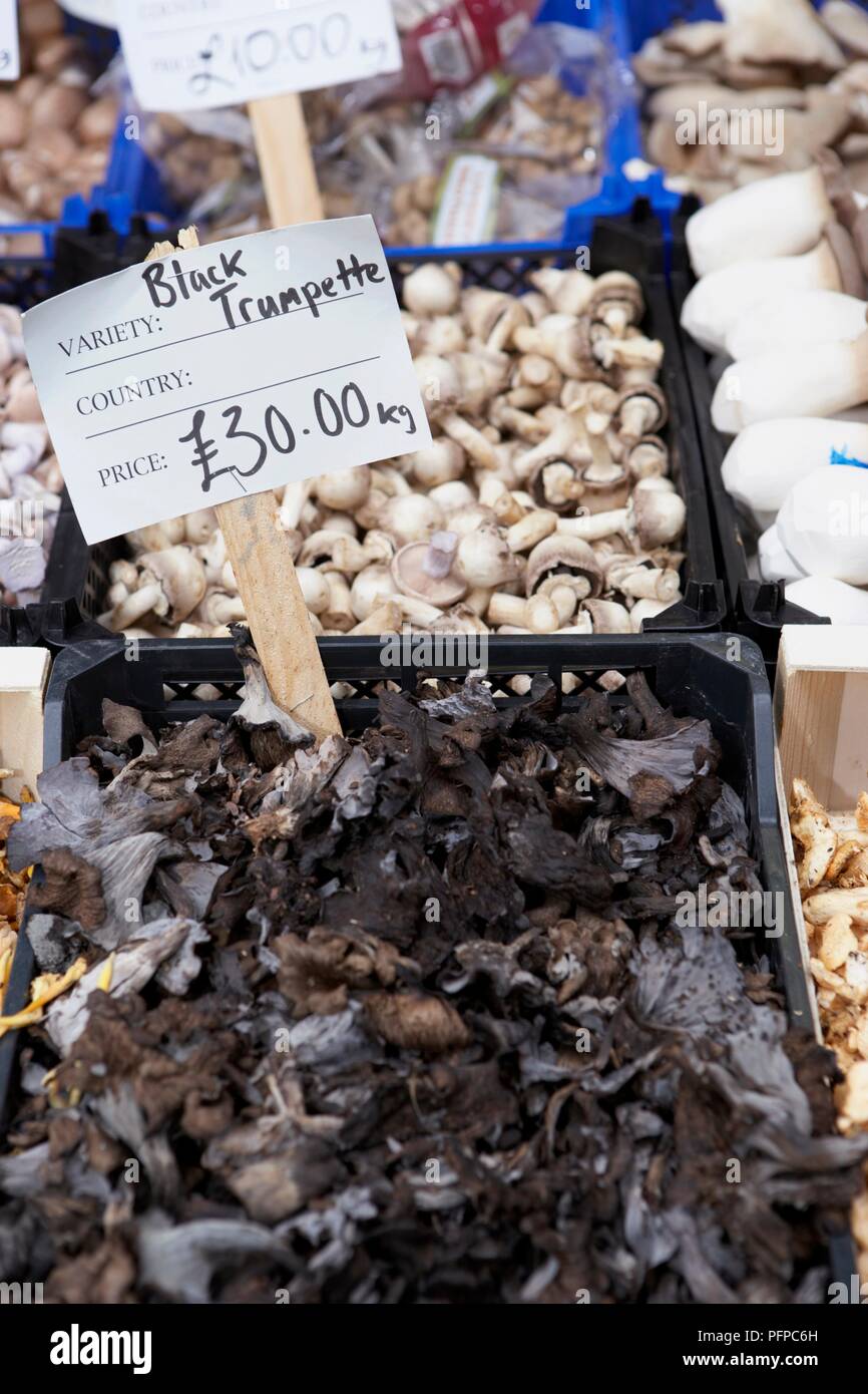 England, London, Borough Markt, Kisten mit wilden Pilzen einschließlich der Schwarzen Trumpette Stockfoto