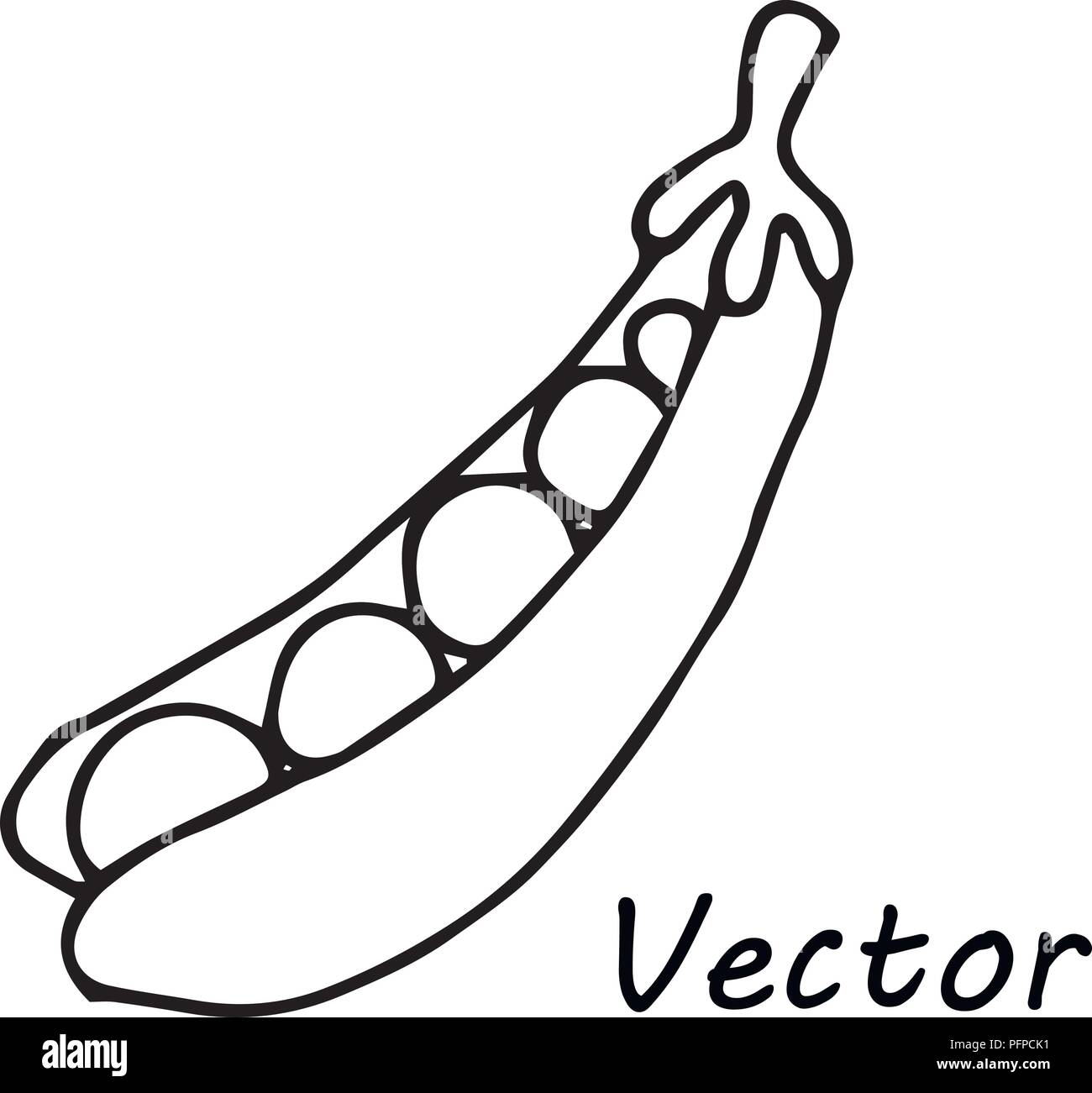 Einfach niedlich Vektor-zeichnung pea Pod zum ausmalen für kinder Design und Logo Stock Vektor