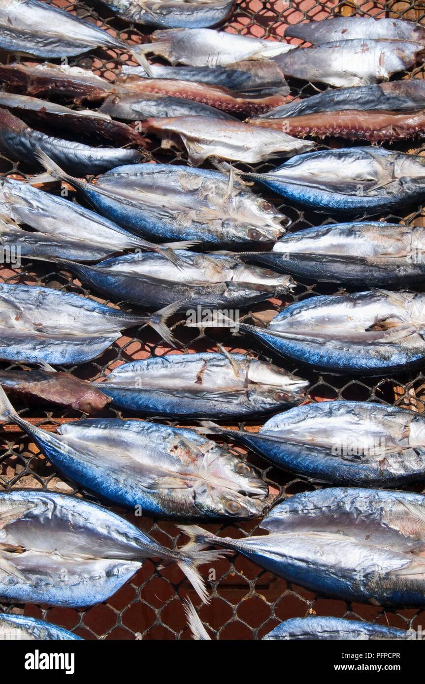 Thailand, Ko Si Boya, Fische trocknen auf Net Stockfoto