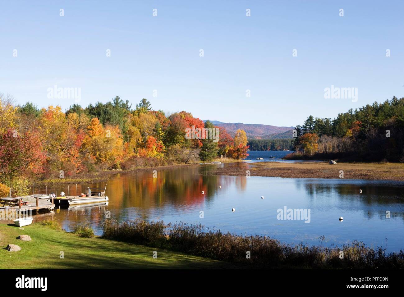 USA, New Hampshire, Bäume im Herbst umliegenden Squam Lake Stockfoto