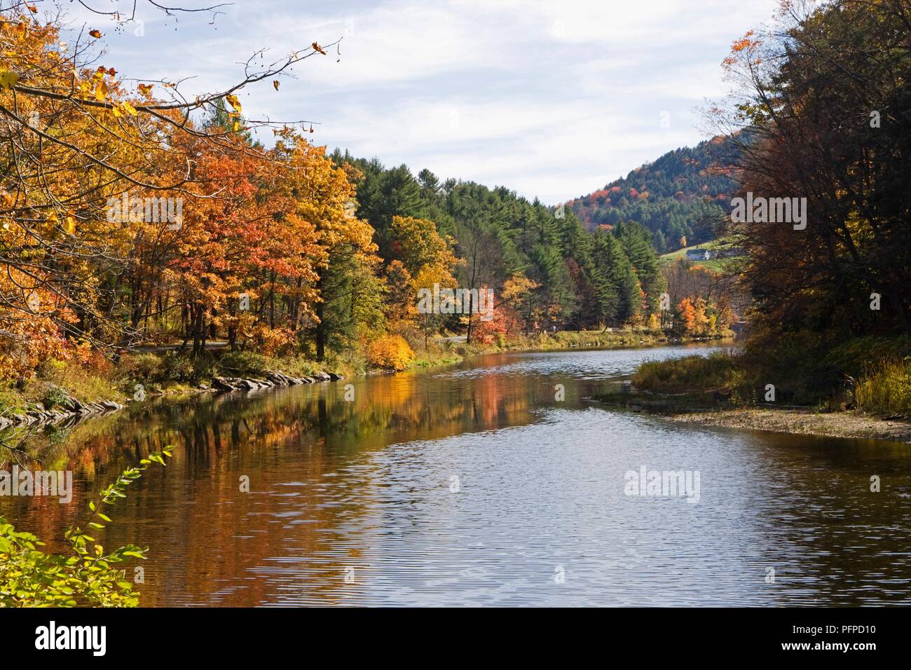 USA, Vermont, Quechee, Ottauquecheee Fluss, Bäume Windungen des Flusses Stockfoto