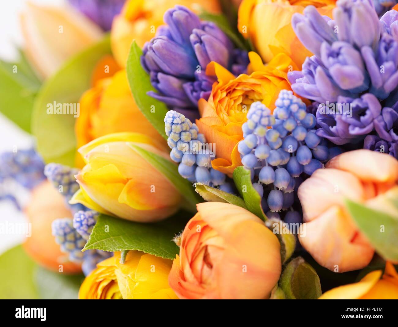 Blumen wie Hyazinthen, Tulpen, Salal, close-up Stockfoto