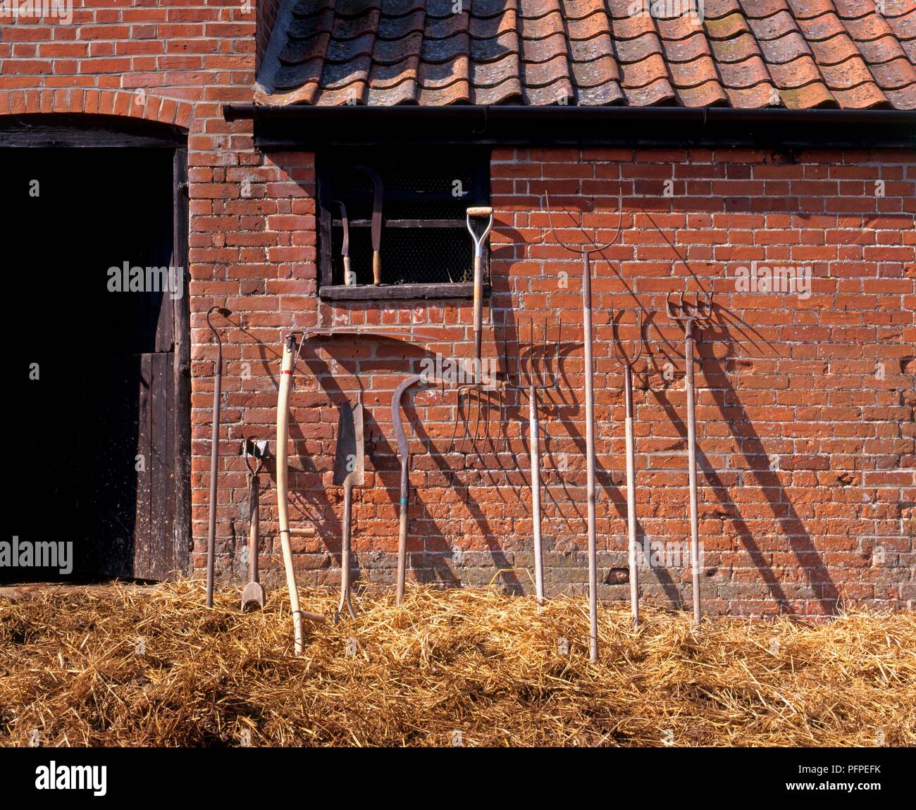 Eine Auswahl an landwirtschaftliche Werkzeuge gegen die äußere Wand einer Scheune Stockfoto