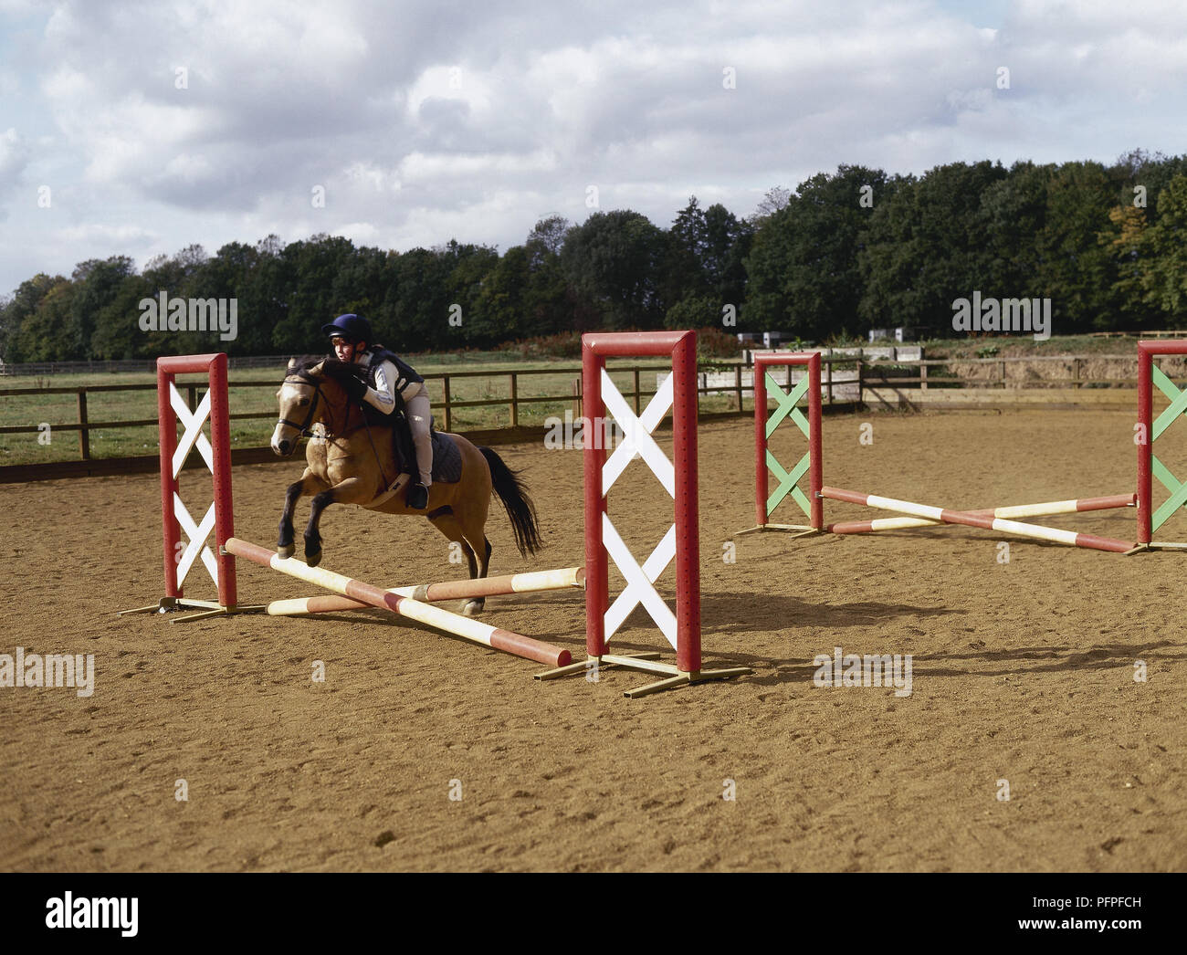 Pony und Reiter springen über Polen Stockfoto