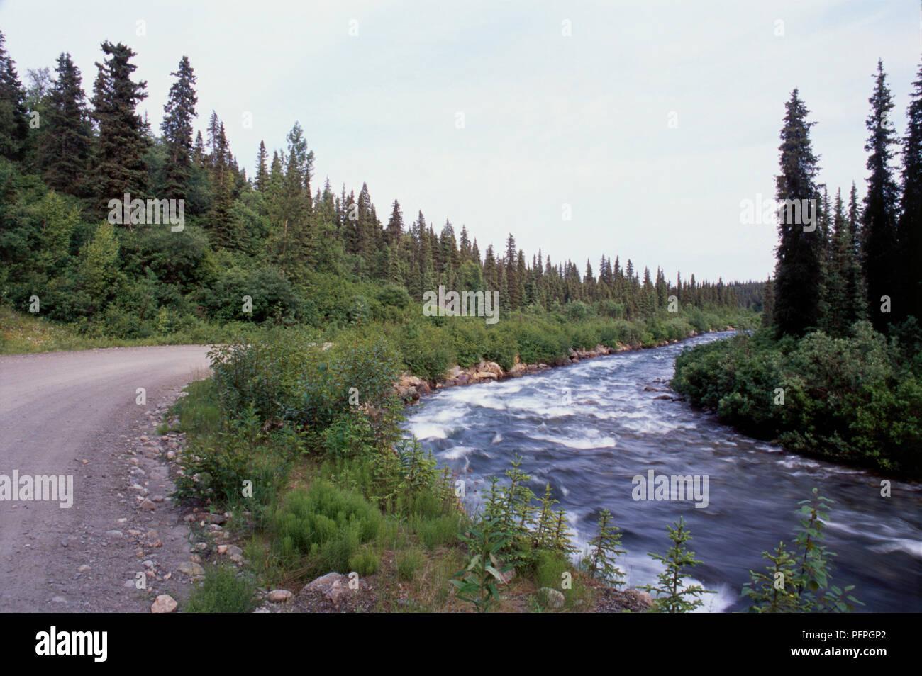 USA, Alaska, Hatcher Pass, gewundenen Straßen und schmalen Fluss gesäumt von Bäumen Stockfoto