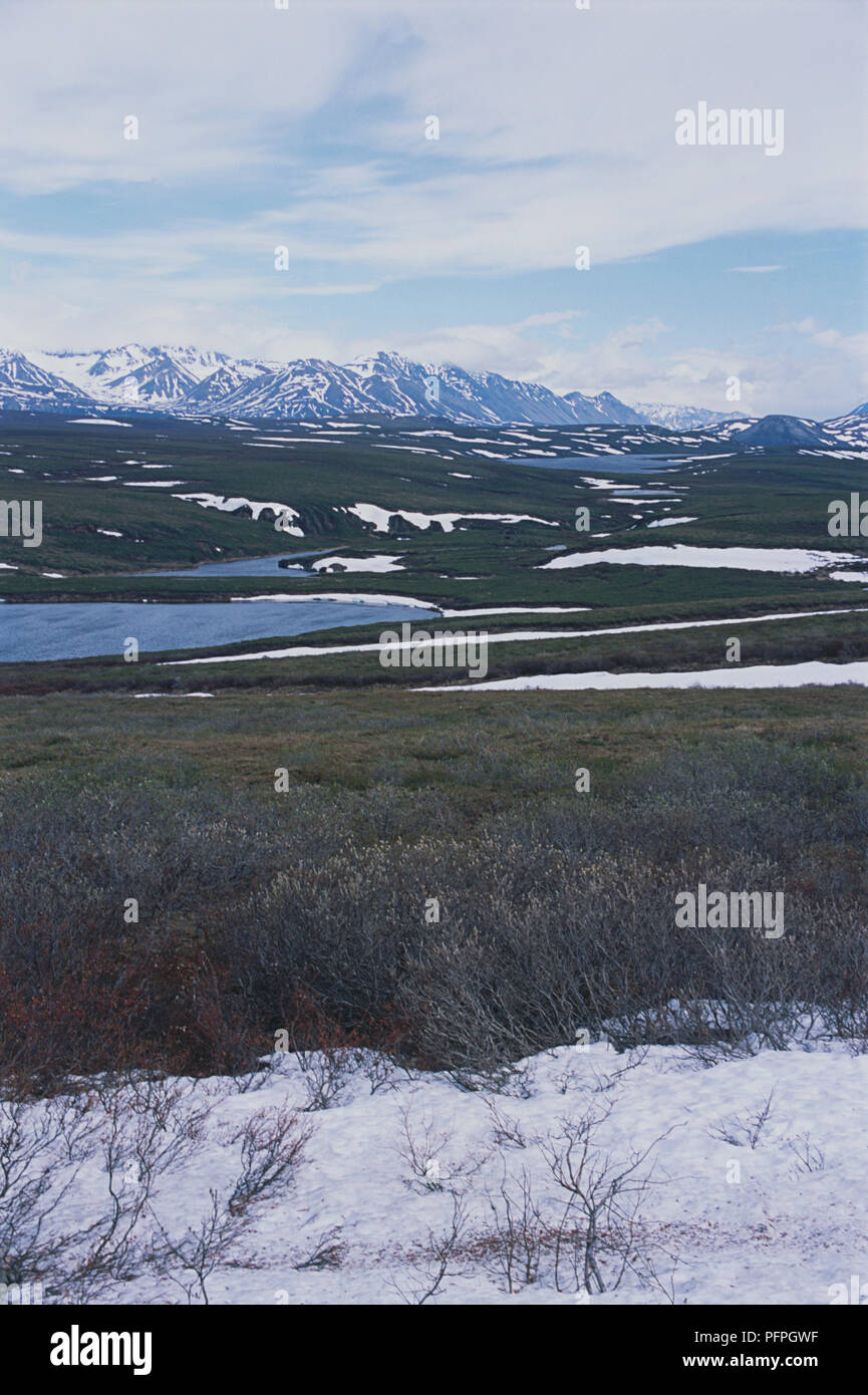 USA, Alaska, Denali Highway, Fluss- und Berglandschaft im Frühjahr Stockfoto