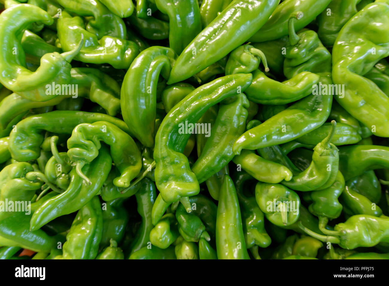 Nahaufnahme von grünen Anaheim Chilischoten auf einem Lebensmittelmarkt Stockfoto