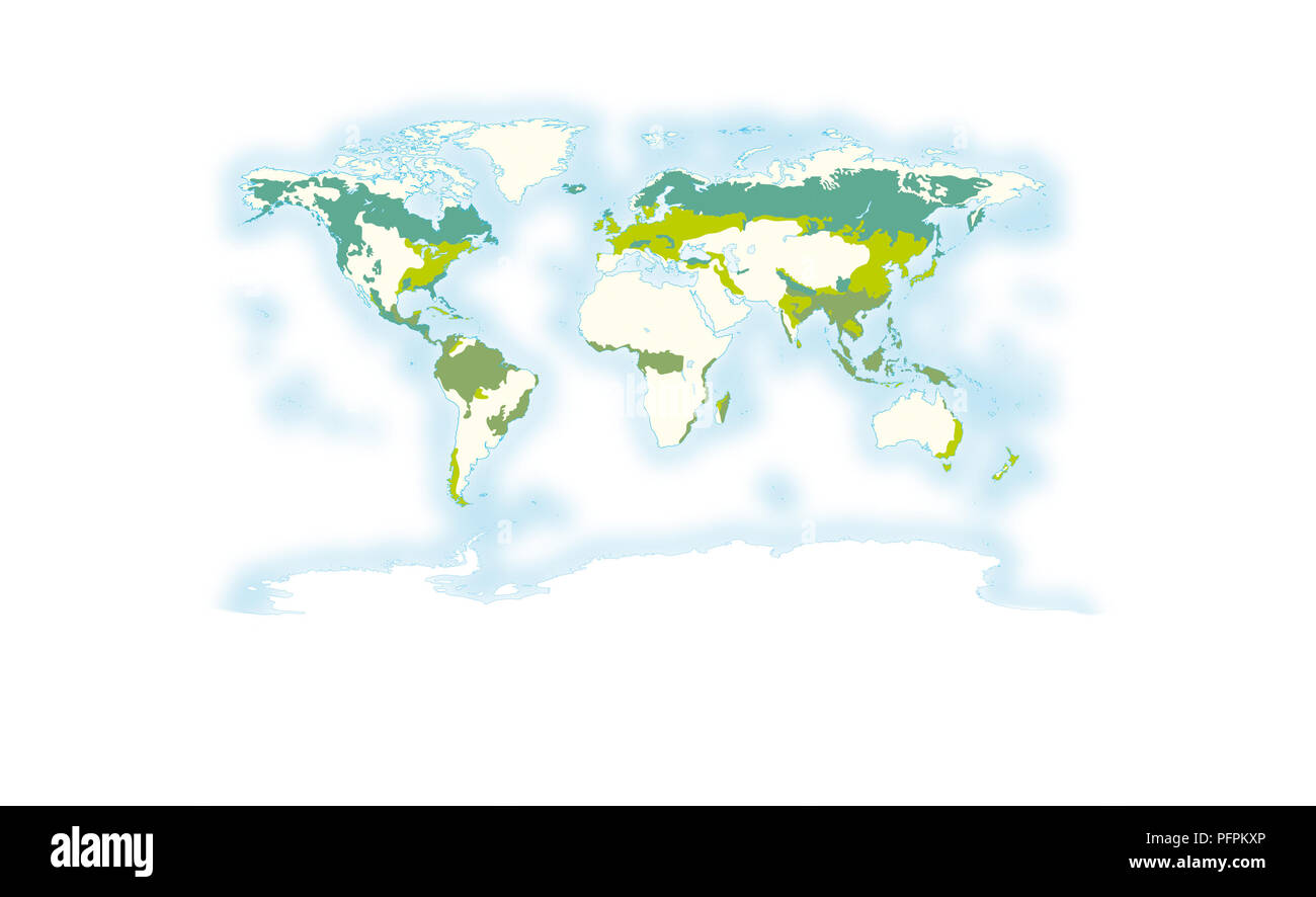 Weltkarte mit Regionen, in denen verschiedene Arten von Wäldern gefunden werden Stockfoto