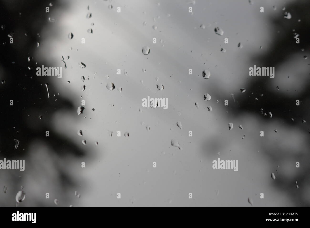 Regentropfen auf dem Fenster mit grauem Himmel und verschwommene Silhouetten von Zweigen und Stromleitungen im Hintergrund Stockfoto