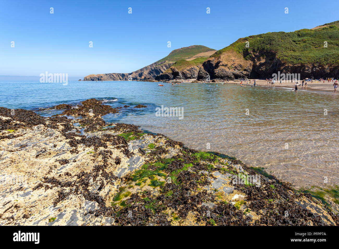 Pendinas Lochtyn aus gesehen gegenüber der Bucht von Llangrannog Strand, Ceredigion, Wales Stockfoto