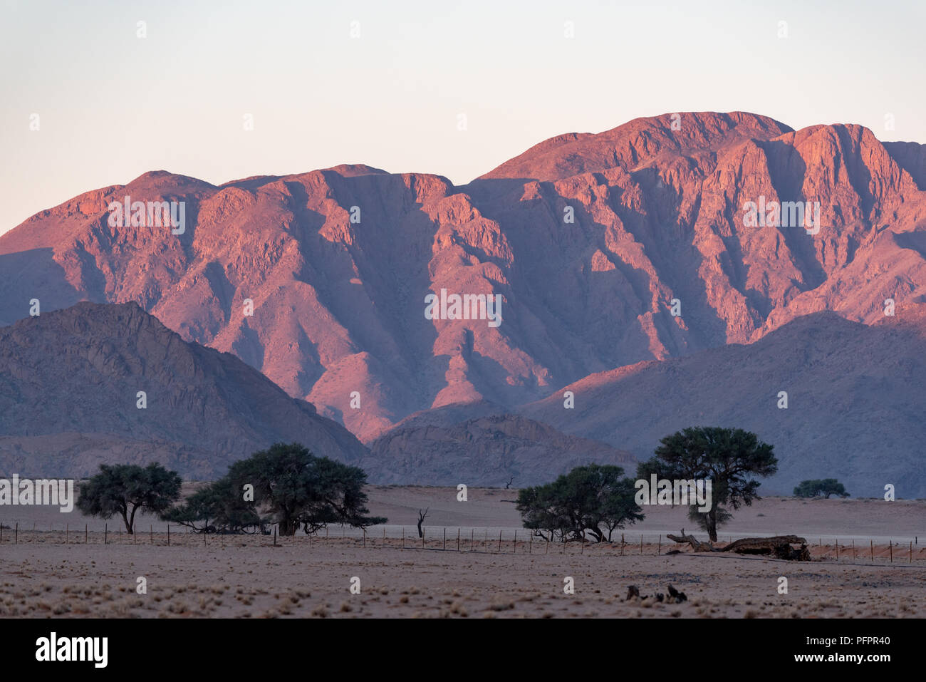 Schön Sonne Berge bei Sonnenuntergang mit Bauernhof Zaun und dunkle Silhouette Bäume im Vordergrund, Wüste Namib, Namibia Stockfoto