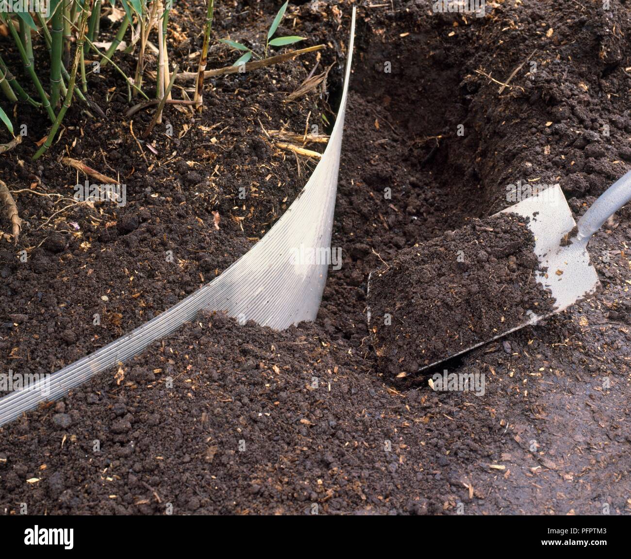 Barriere aus starrem Kunststoff und Graben, das Ausfllen mit Spaten, die  Verbreitung von Bambus Pflanzen zu beschrnken, close-up Stockfotografie -  Alamy