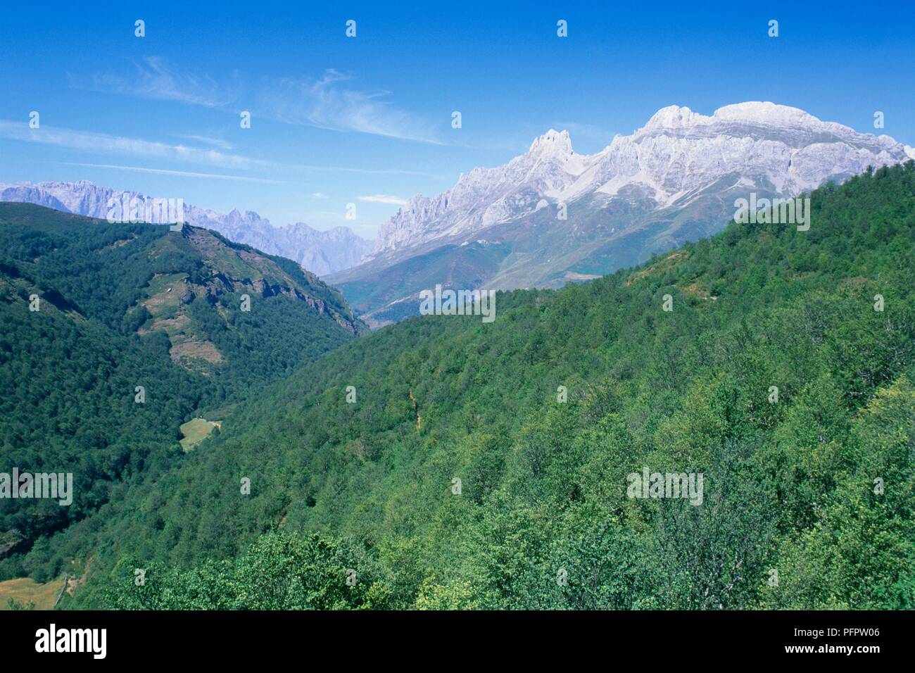 Spanien, mit Blick auf die Picos de Europa - Gebirge, Teil der Kantabrischen Berge Stockfoto