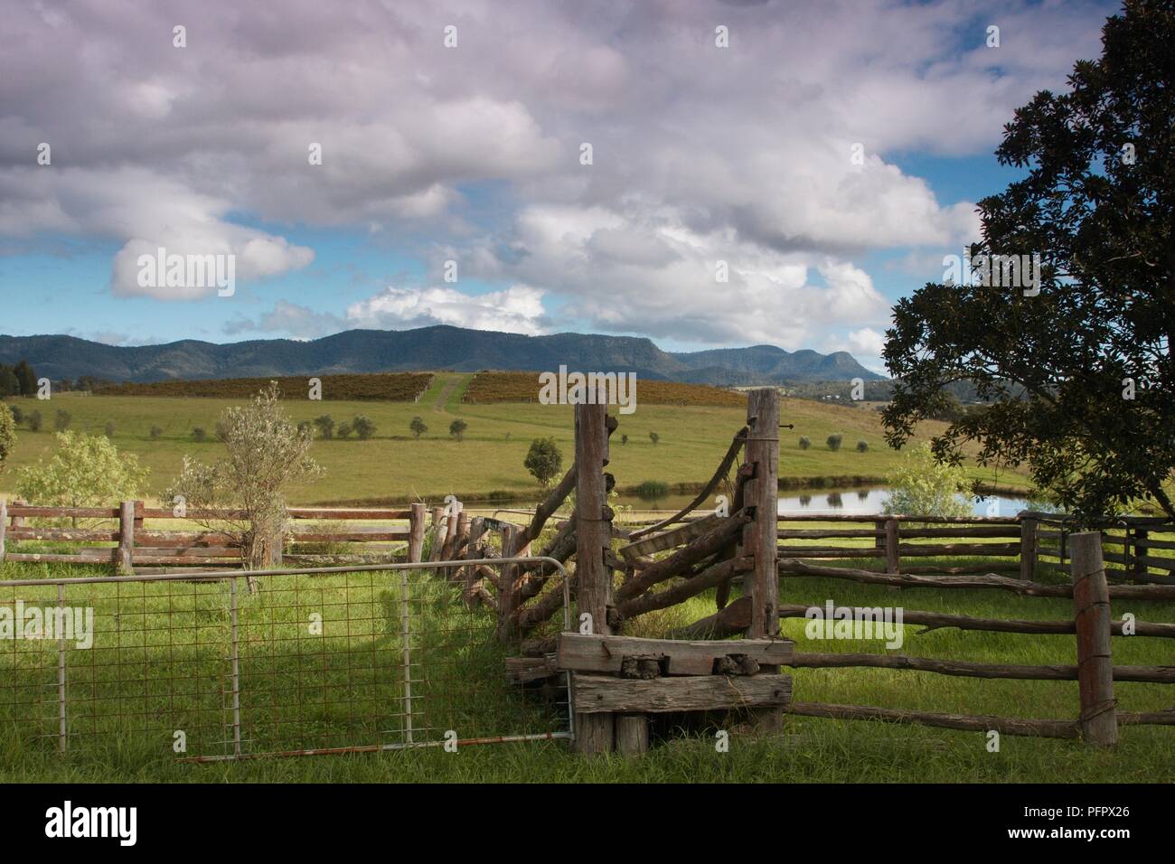 Australien, New South Wales, üppige Hunter Valley Landschaft mit Gebirge im Hintergrund Stockfoto