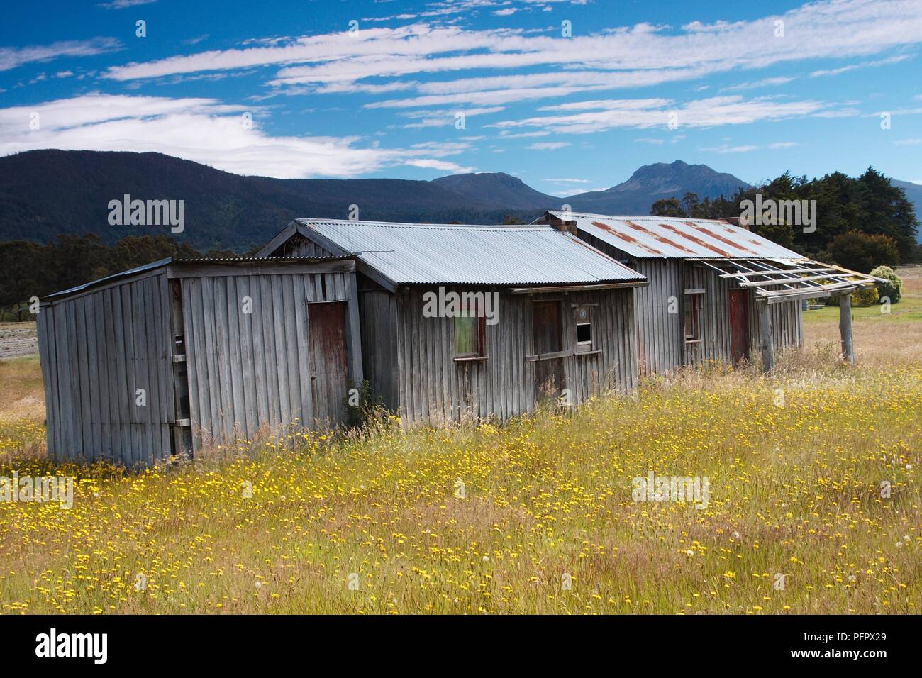 Australien, Tasmanien, Huon Valley, alte hölzerne landwirtschaftlichen Gebäuden in unbewirtschaftet Feld mit Bergen im Hintergrund gegen den blauen Himmel und weißen Wolken Stockfoto