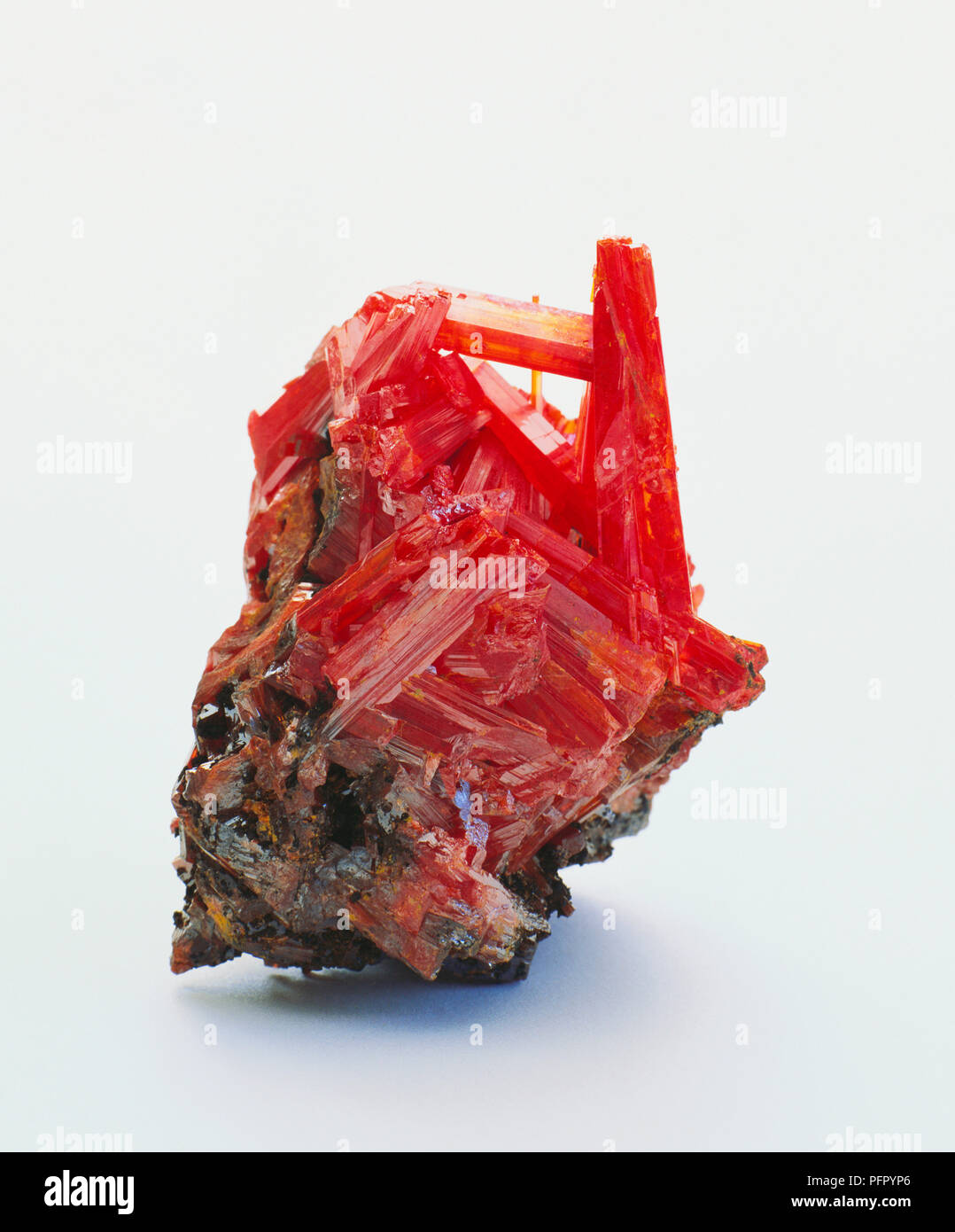Prismatische Kristalle, diamantartige crocoite rot Glanz Stockfoto