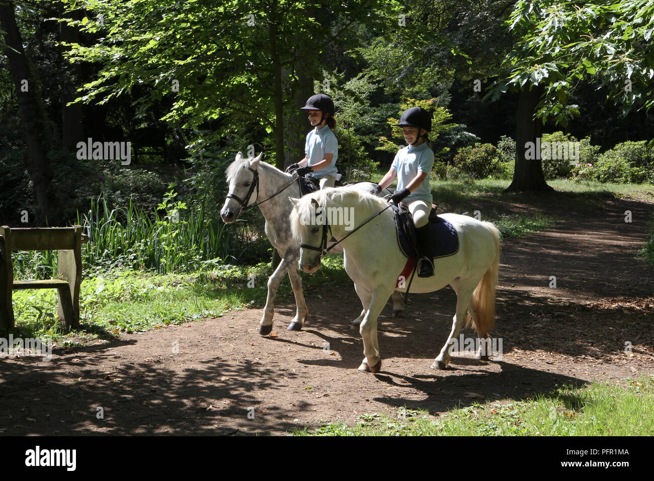 Zwei Kinder reiten Ponys entlang Wald Weg weiß Stockfoto