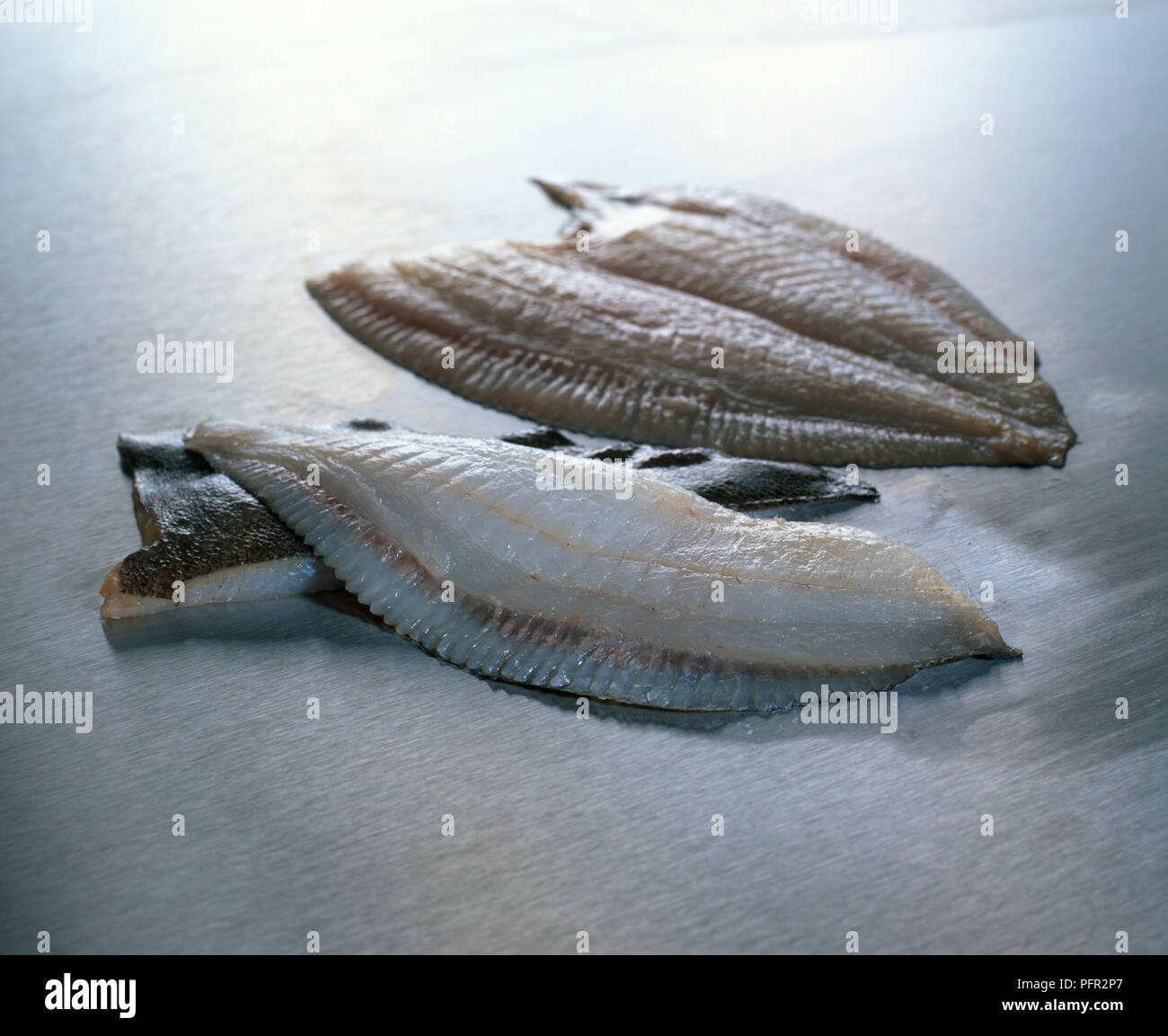 Raw Brill Filets auf Edelstahl Küche Arbeitsplatte, close-up Stockfoto