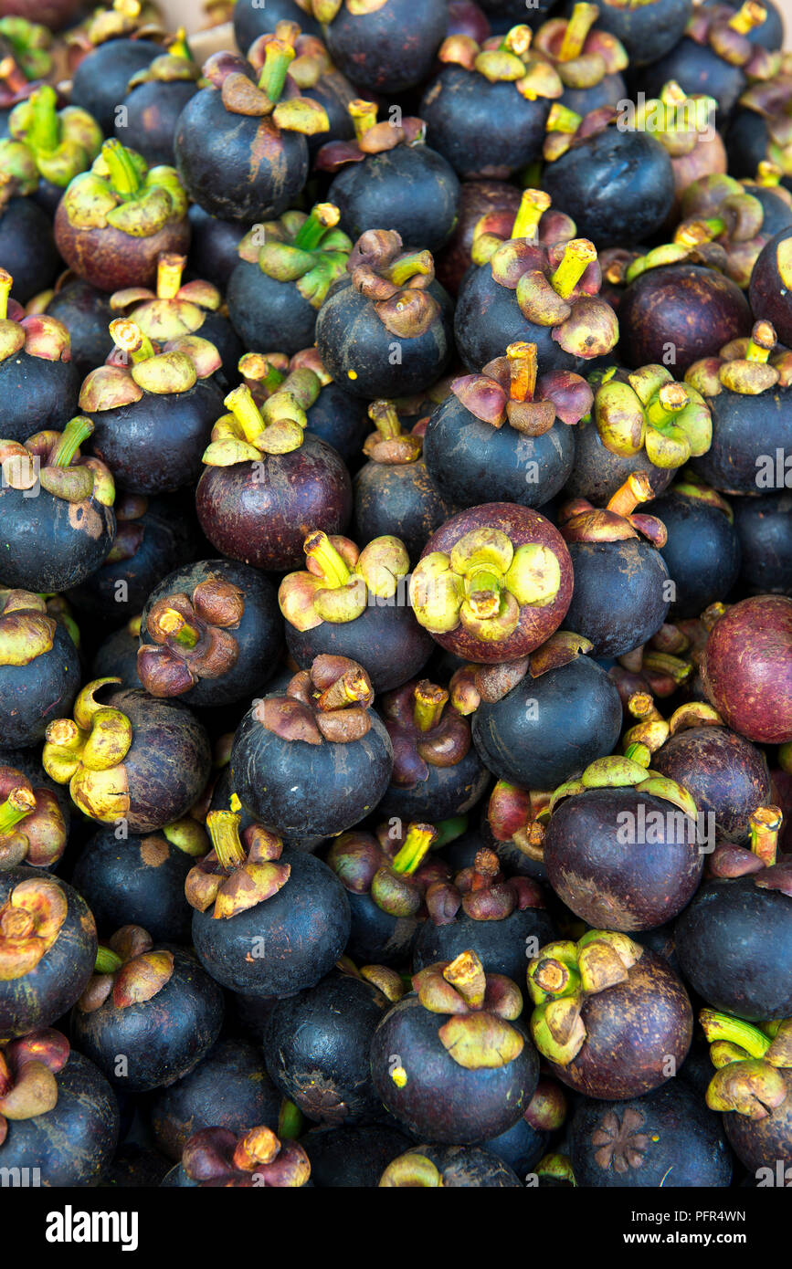 Sri Lanka, Colombo, Western Province, Pettah, mangosteen Früchte, close-up Stockfoto