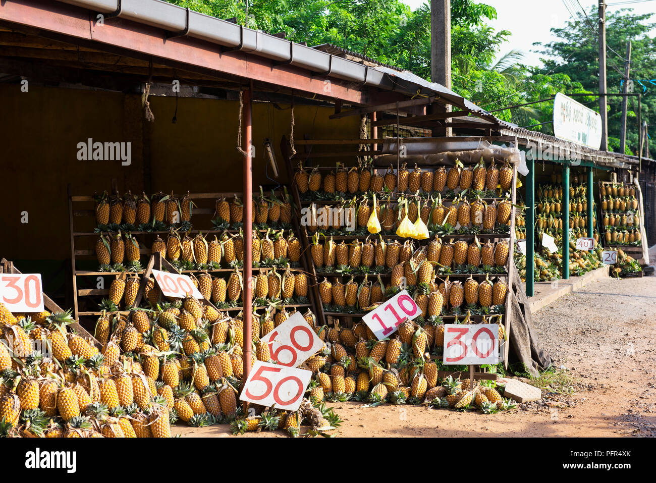 Sri Lanka, Ananas zum Verkauf bei Abschaltdruck Stockfoto