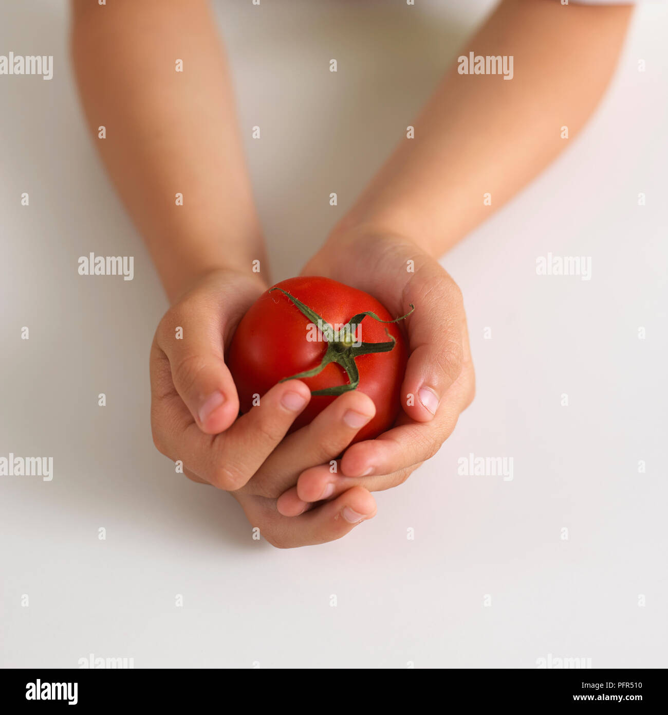 Holding eine Tomate Stockfoto