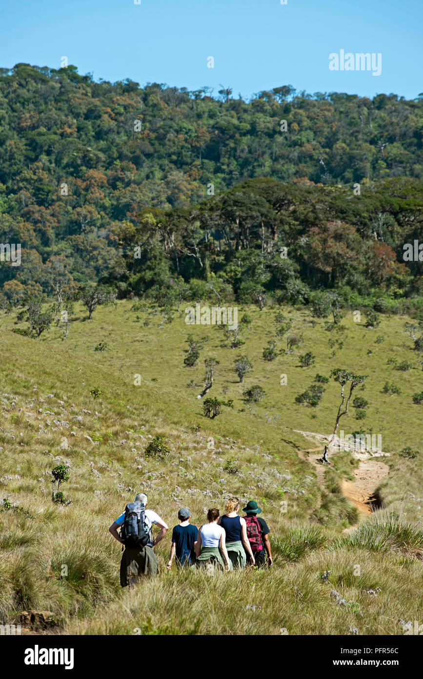 Sri Lanka, Provinz Uva, Nuwara Eliya, Horton Plains Nationalpark, Menschen wandern auf grasbewachsenen Hügel Stockfoto